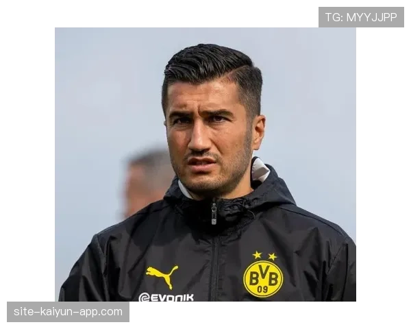 多特蒙德争冠稳定性不足问题显现，对赛季走势产生阶段性影响