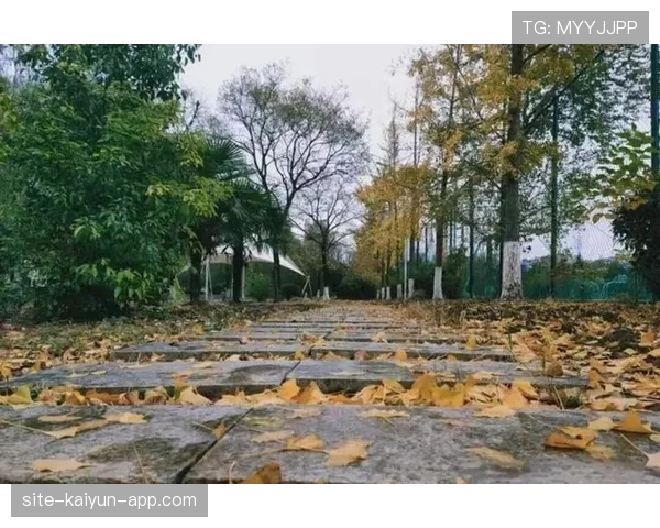 详细解析篮球比赛结束规则，终场信号响后得分如何判定有效
